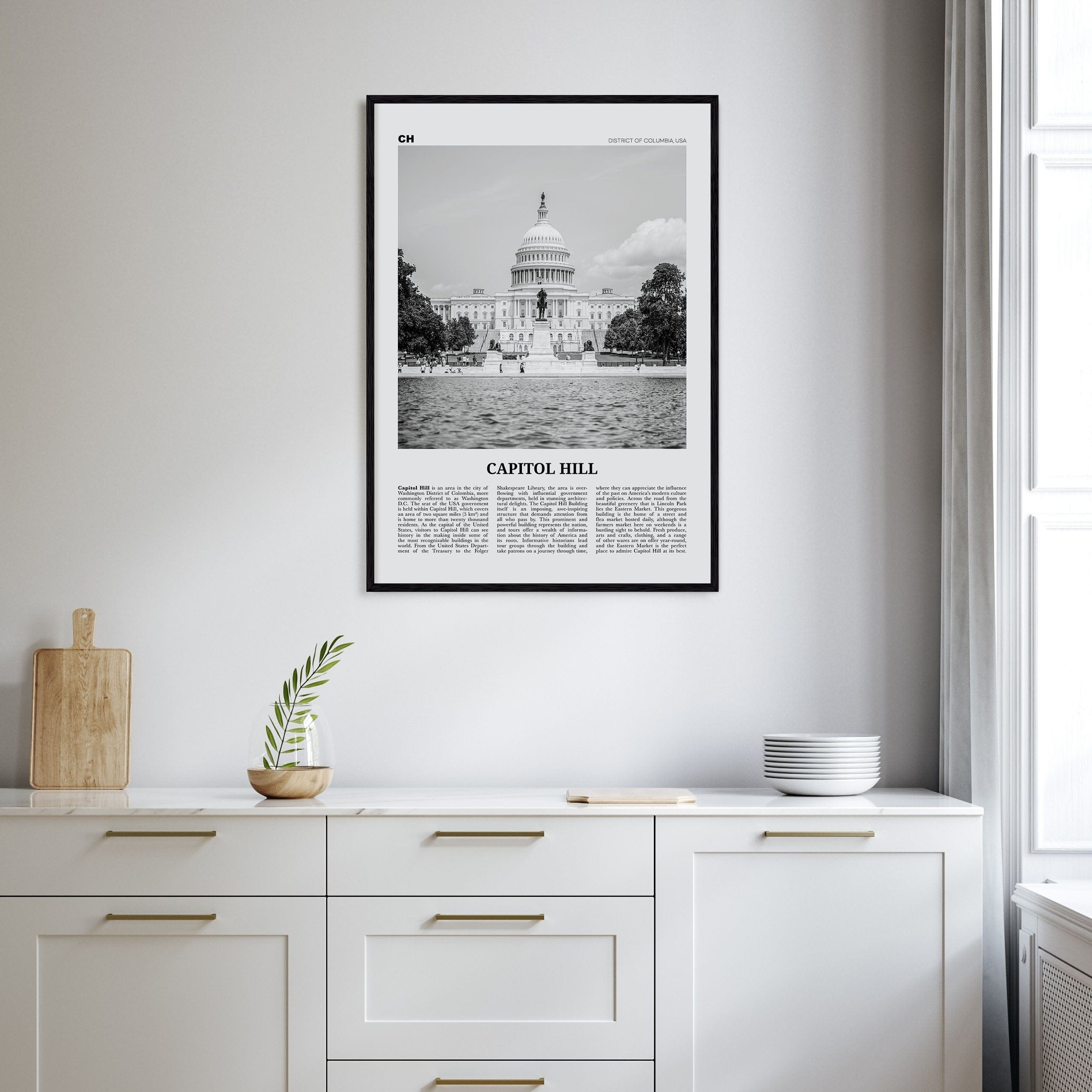 Capitol Hill Poster Nbourhood Travel B&W Poster