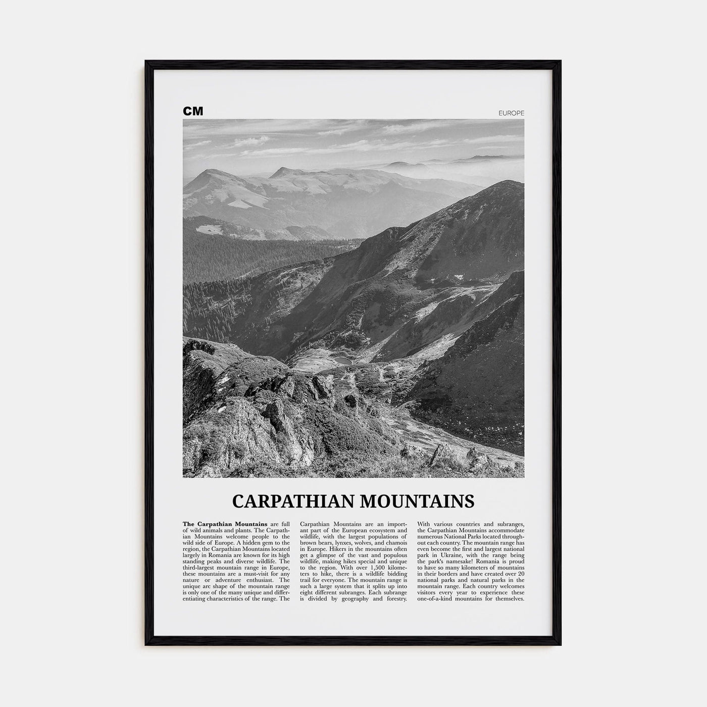 Carpathian Mountains Poster Black Wood / 8x12 in Nbourhood Travel B&W Poster