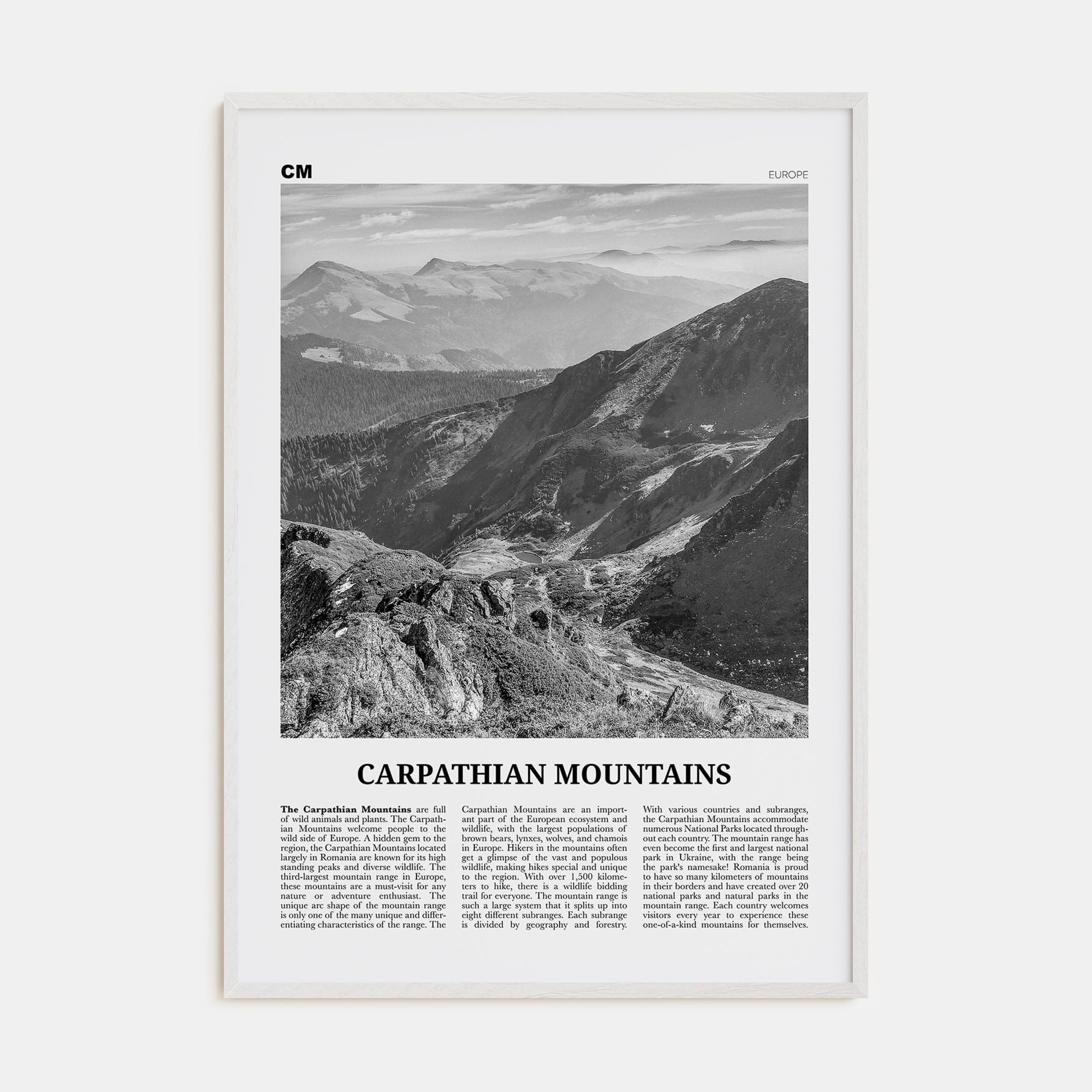 Carpathian Mountains Poster White Wood / 8x12 in Nbourhood Travel B&W Poster