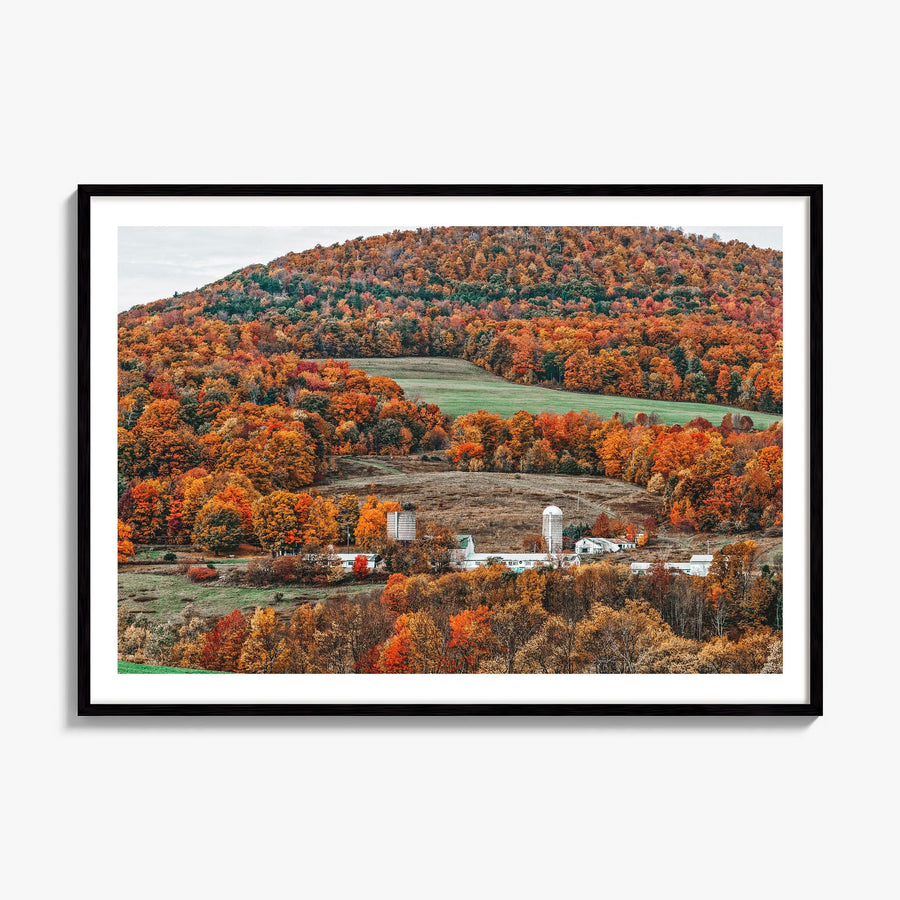 Catskill Mountains Photo Poster, framed poster mockup, white border