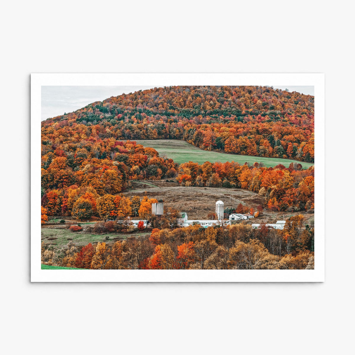 Catskill Mountains Photo Poster, print only (unframed), white border