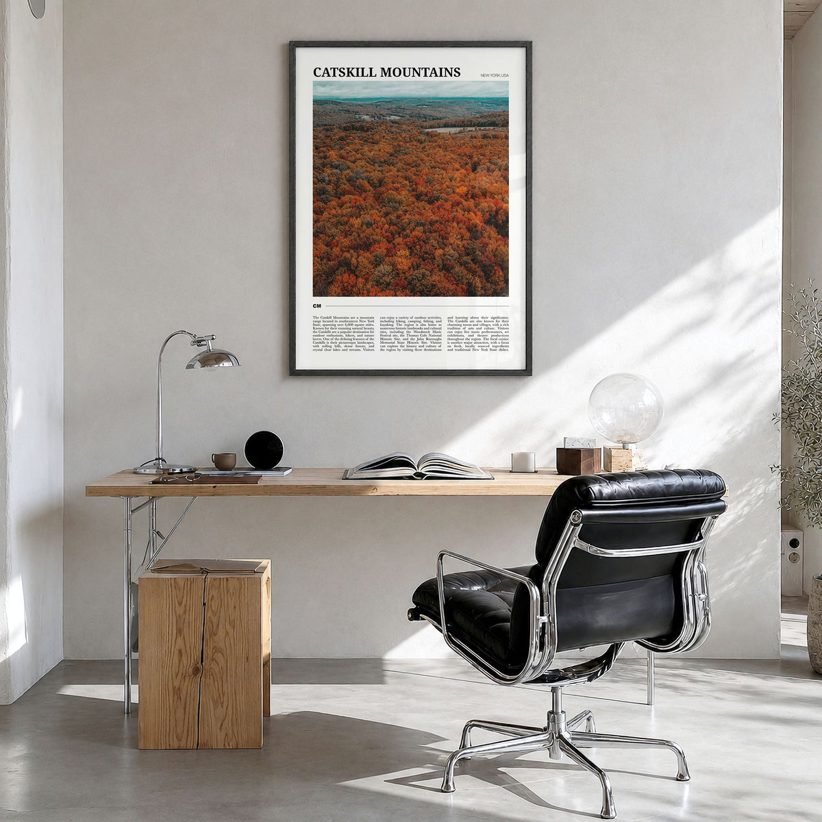 Catskill Mountains Travel Poster in a black wood frame, hanging in a bright home office