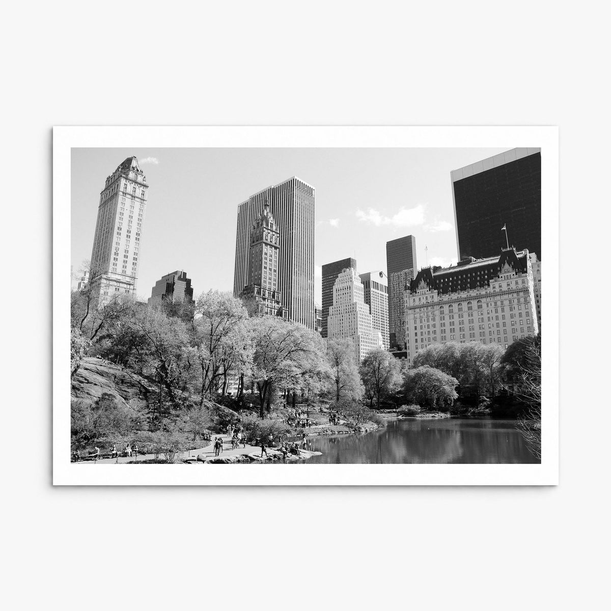 Central Park Photo Poster, print only (unframed), white border