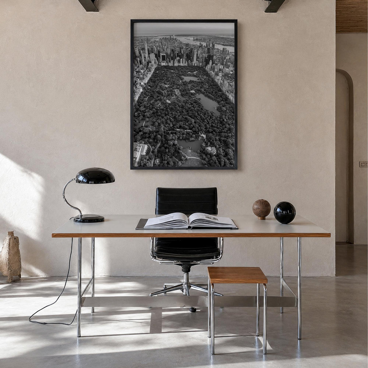Central Park Photo No 1 Poster