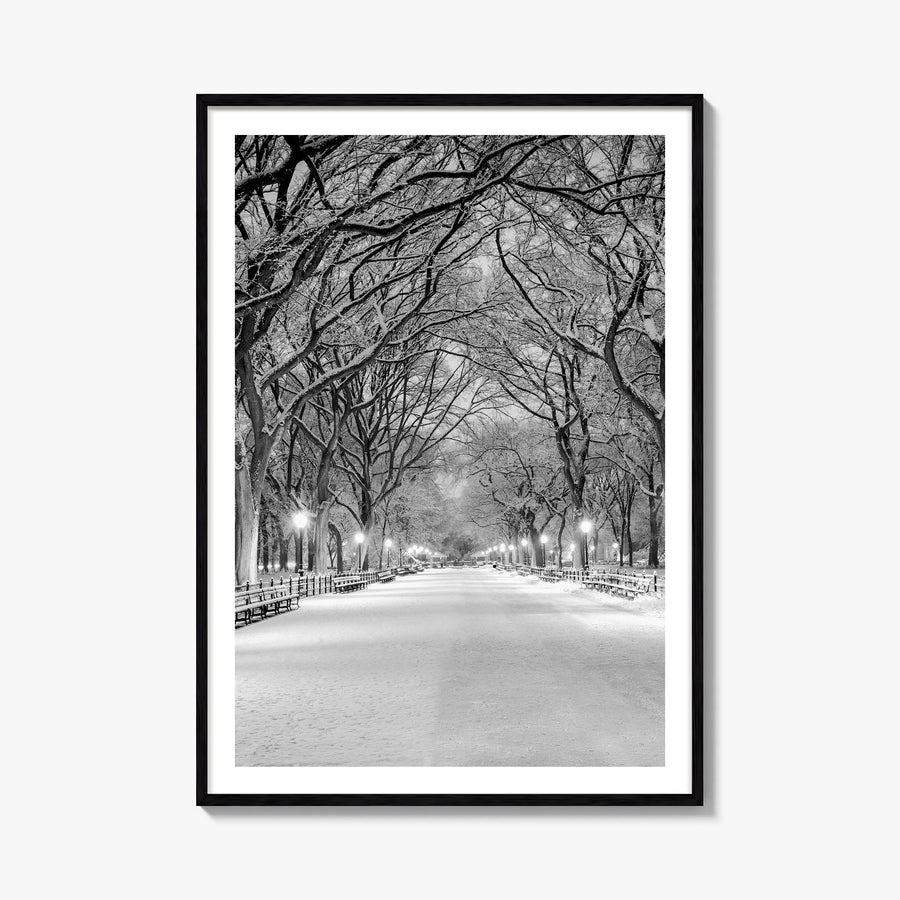 Central Park no. 3 black & white photo poster of Manhattan, New York City – vertical wall art, unframed print shown in interi