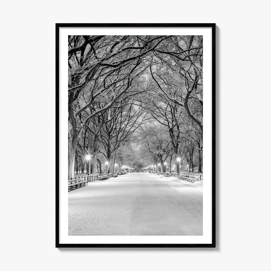 Central Park Photo No 3 Poster, framed poster mockup, white border