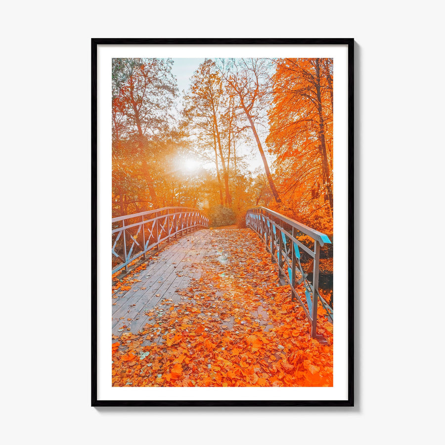 Central Park Photo No 2 Poster, framed poster mockup, white border