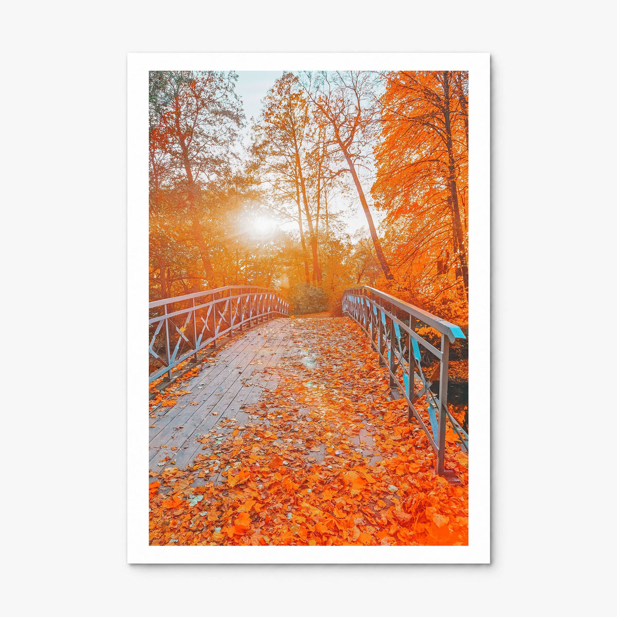 Central Park Photo No 2 Poster, print only (unframed), white border