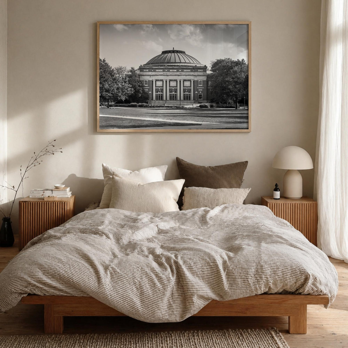 Champaign-Urbana Photo Poster