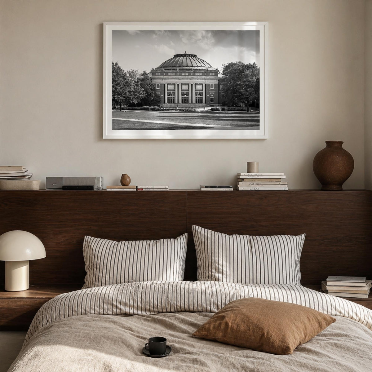 Champaign-Urbana Photo Poster