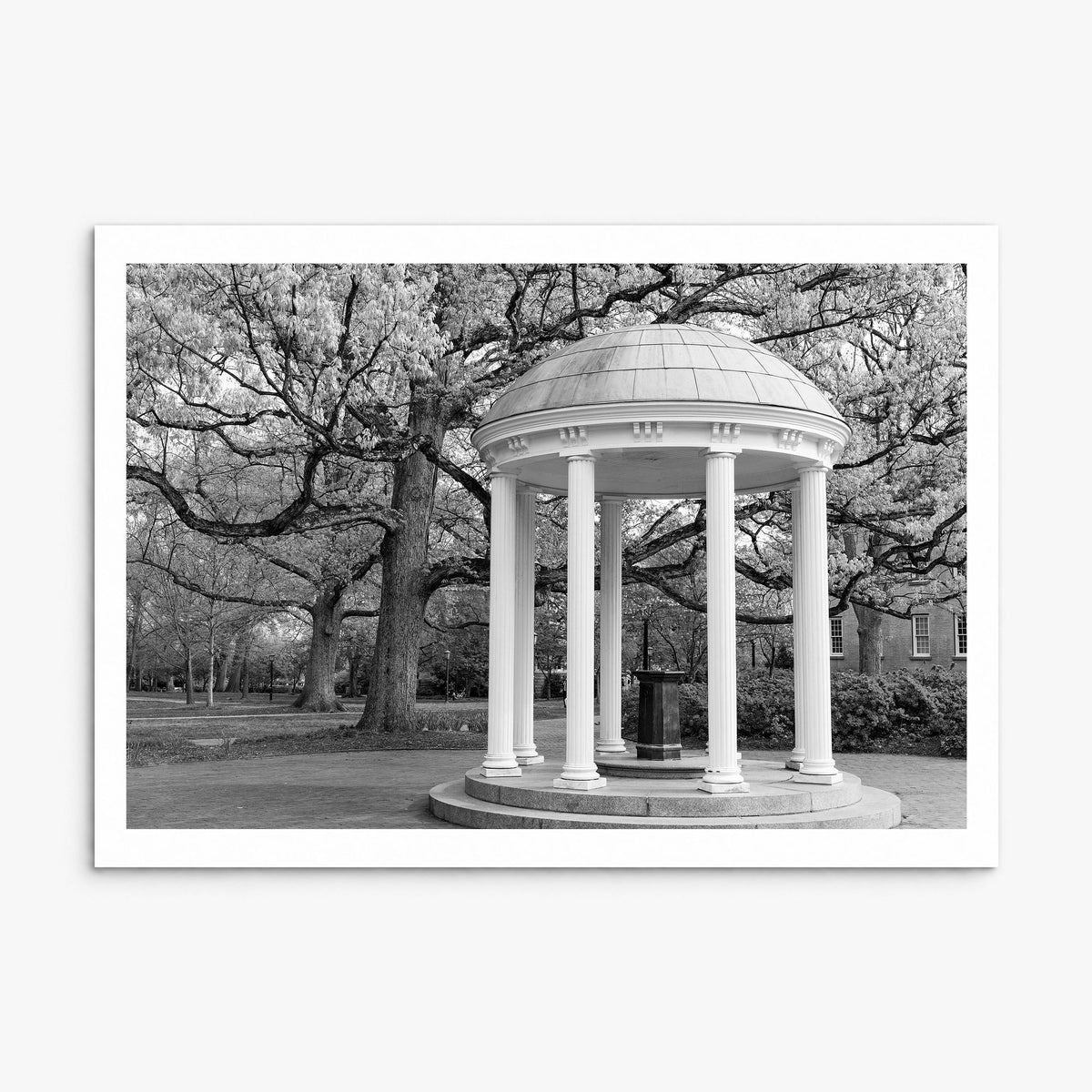Chapel Hill Photo Poster, print only (unframed), white border