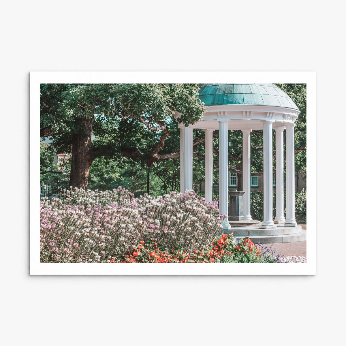 Chapel Hill Photo Poster, print only (unframed), white border