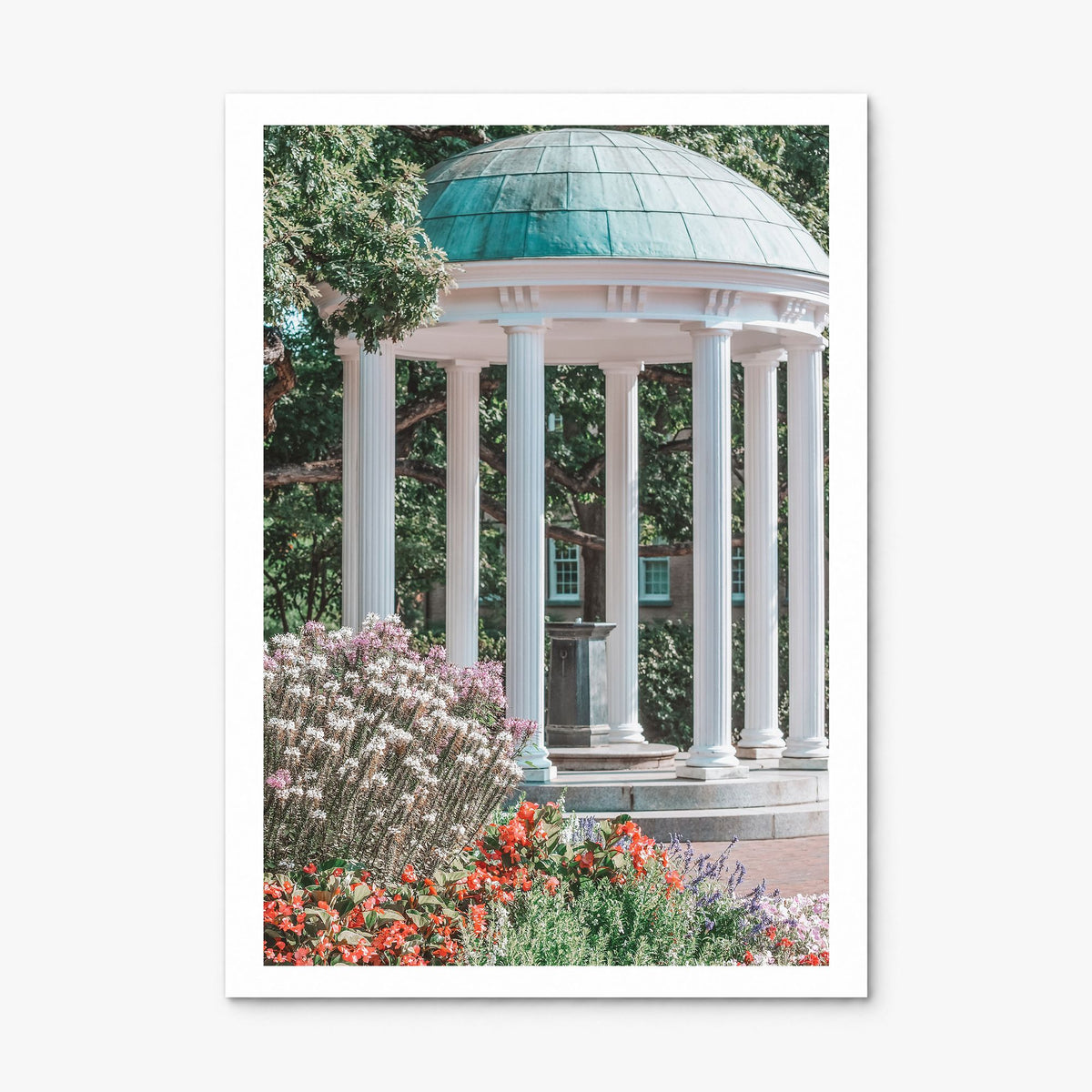 Chapel Hill Photo Poster, print only (unframed), white border