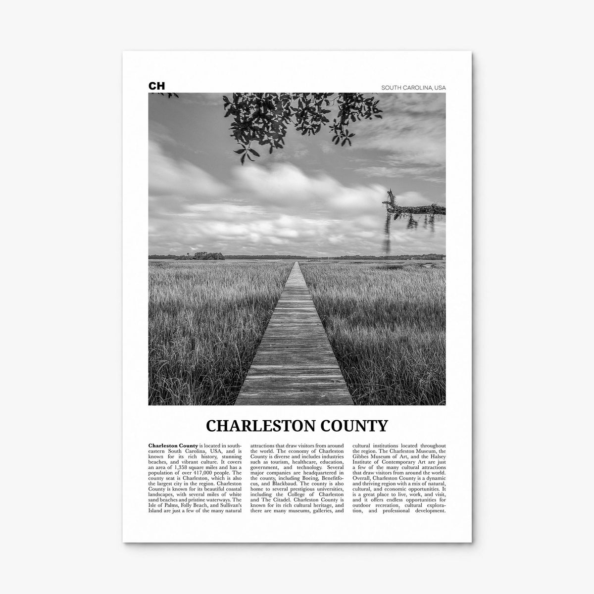Charleston County Newspaper Poster, print only (unframed)
