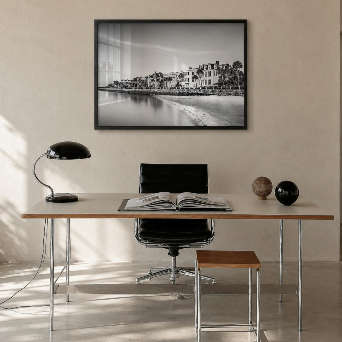 Charleston, South Carolina Photo Poster