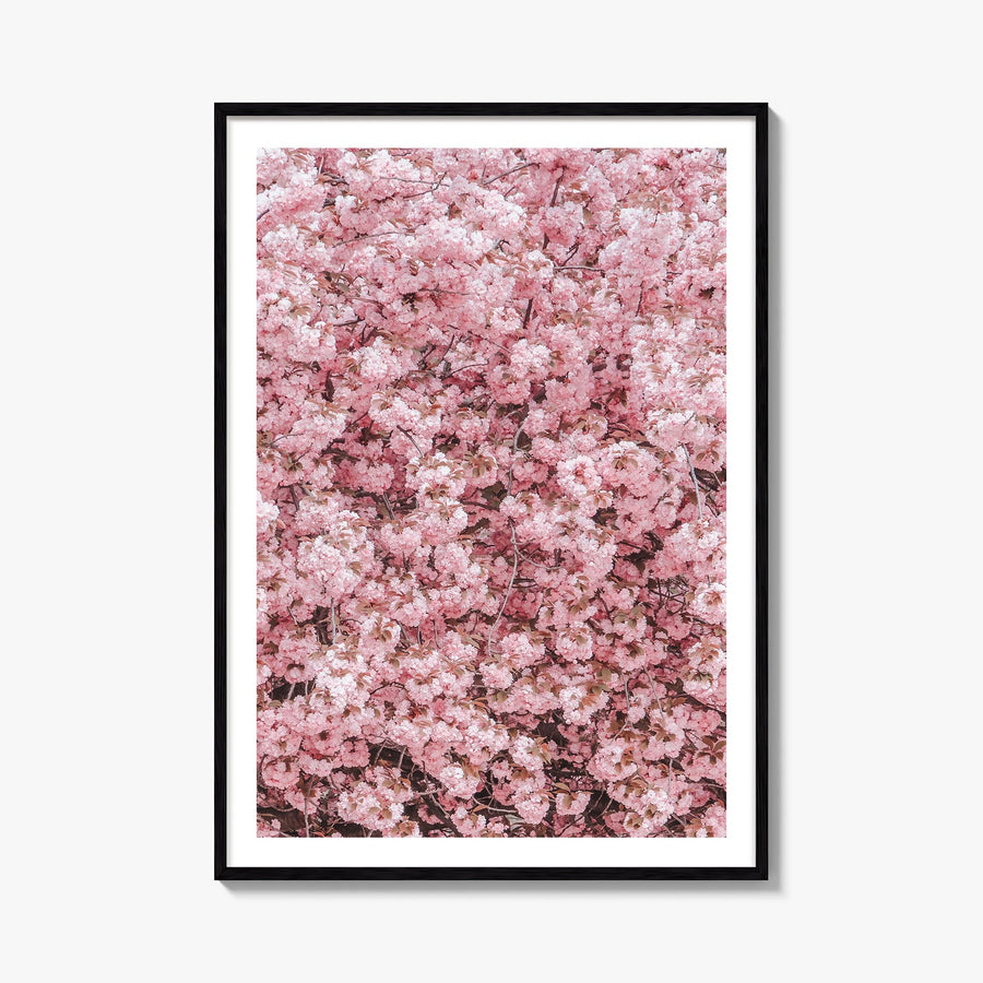 Cherry Blossoms no. 2 colorful photo poster – vertical wall art, unframed print shown in interior mockup