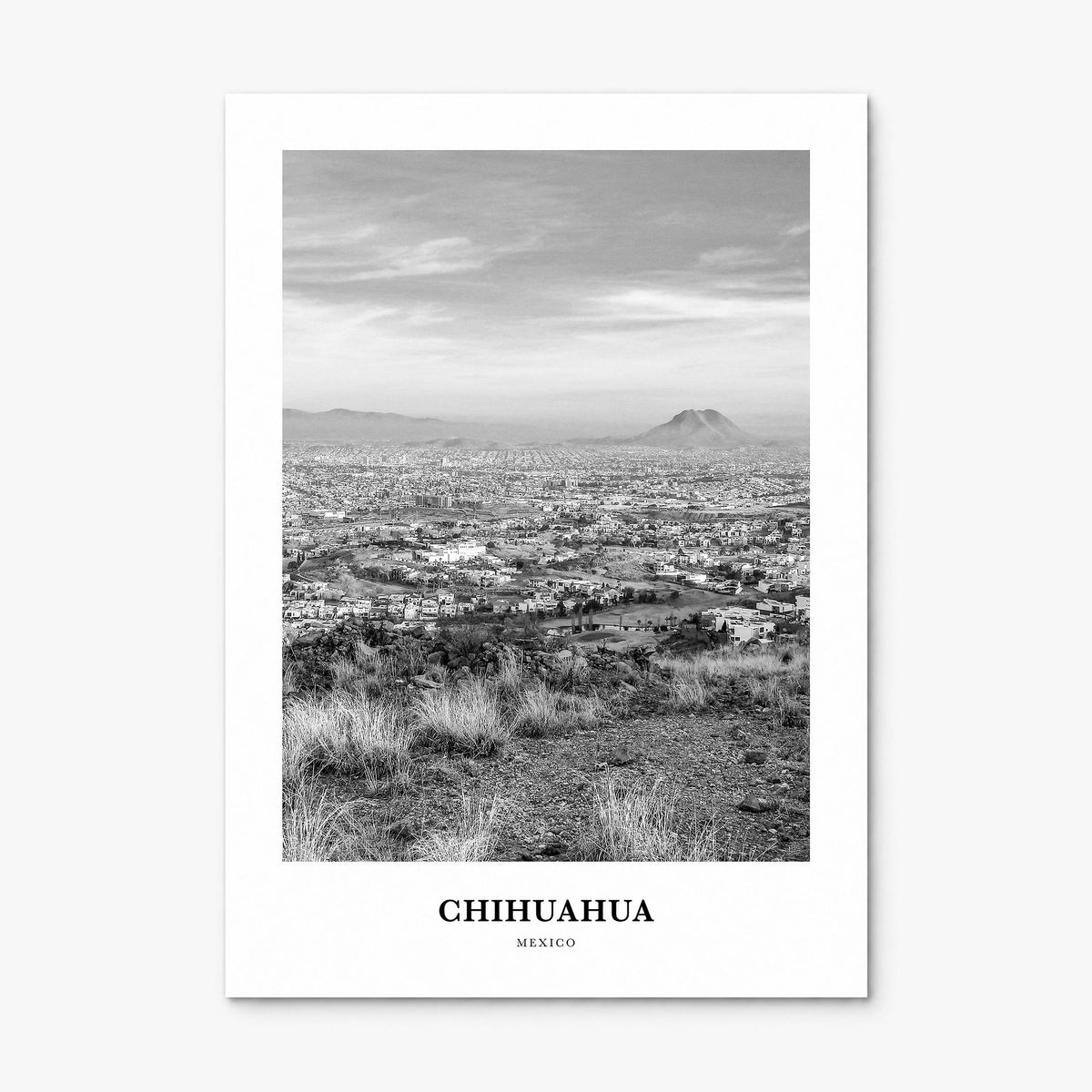 Chihuahua Classic Poster, print only (unframed)