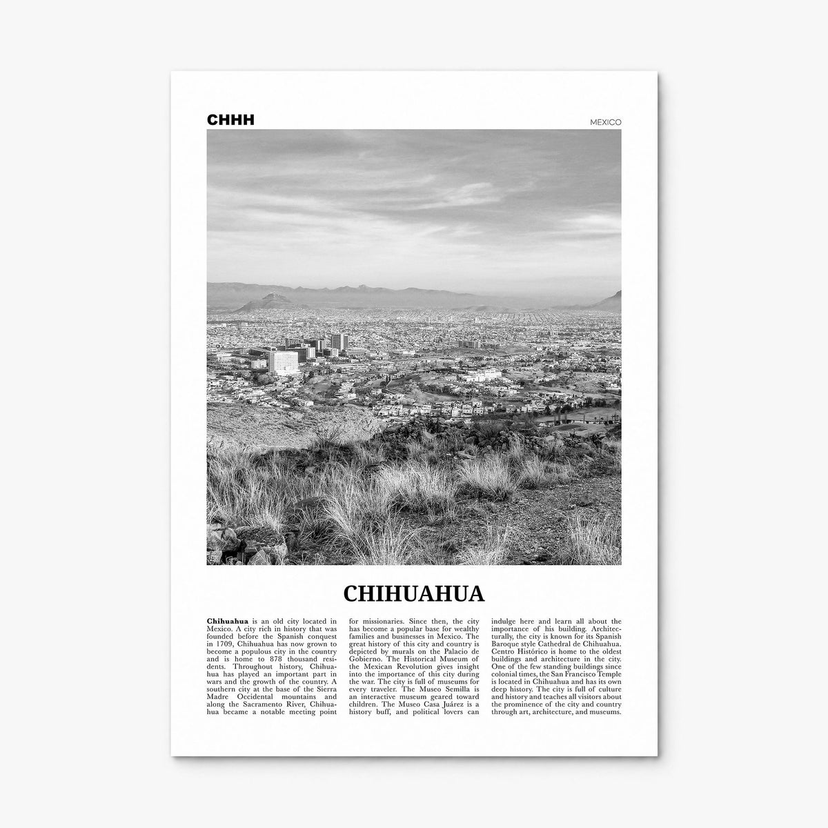 Chihuahua Newspaper Poster, print only (unframed)