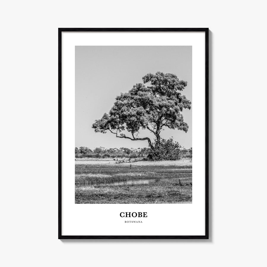 Chobe National Park black & white classic poster of Botswana – vertical wall art, unframed print shown in interior mockup