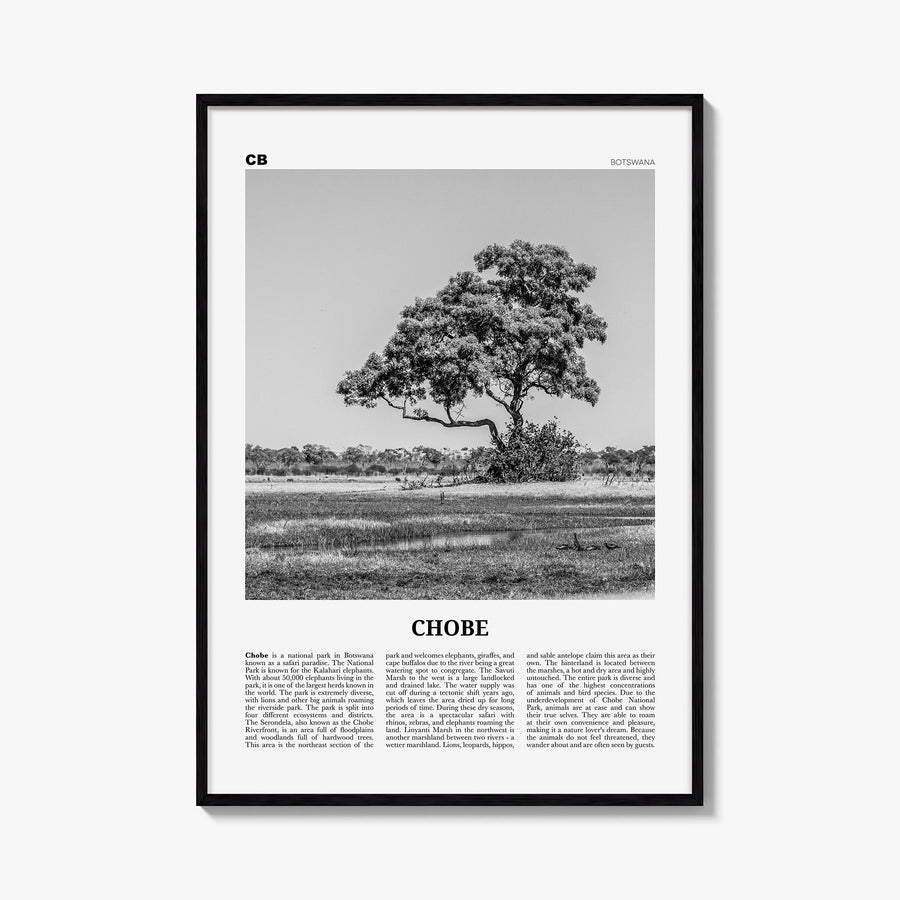 Chobe National Park black & white newspaper poster of Botswana – vertical wall art, unframed print shown in interior mockup