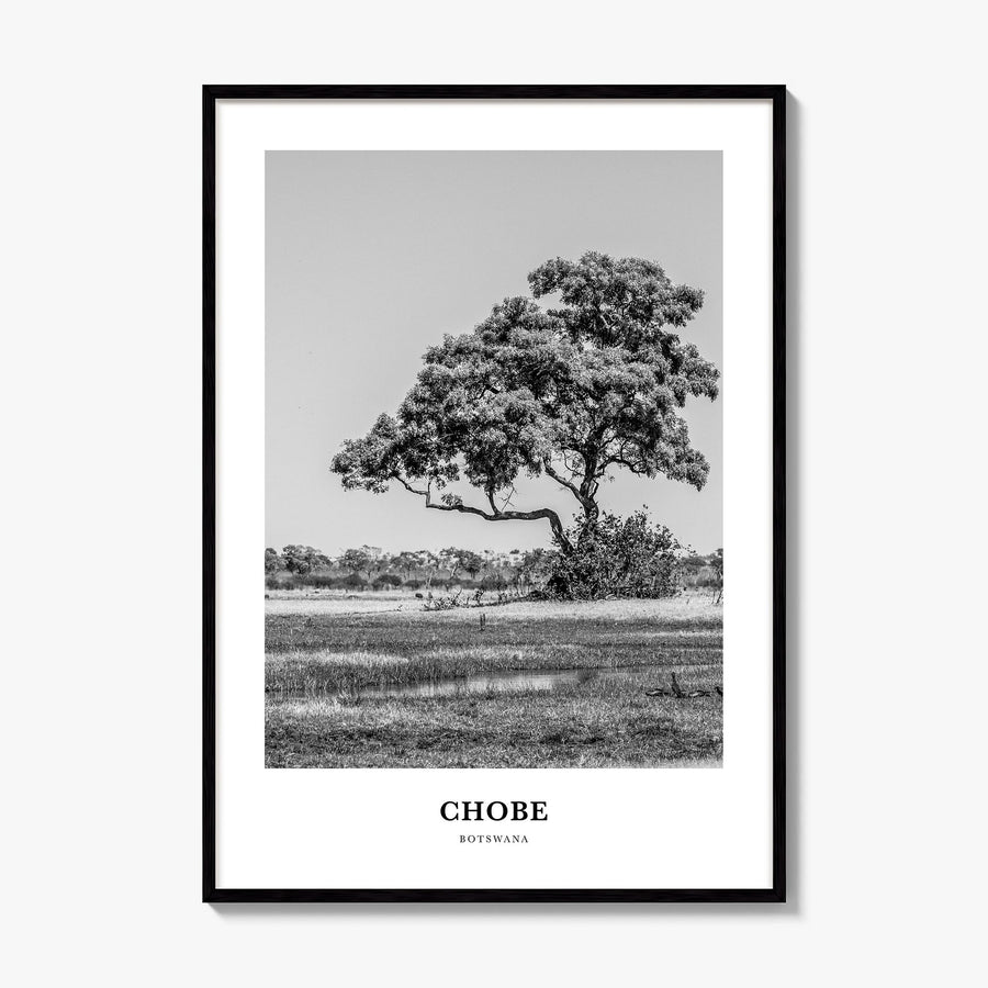 Chobe National Park Classic Poster, framed poster mockup