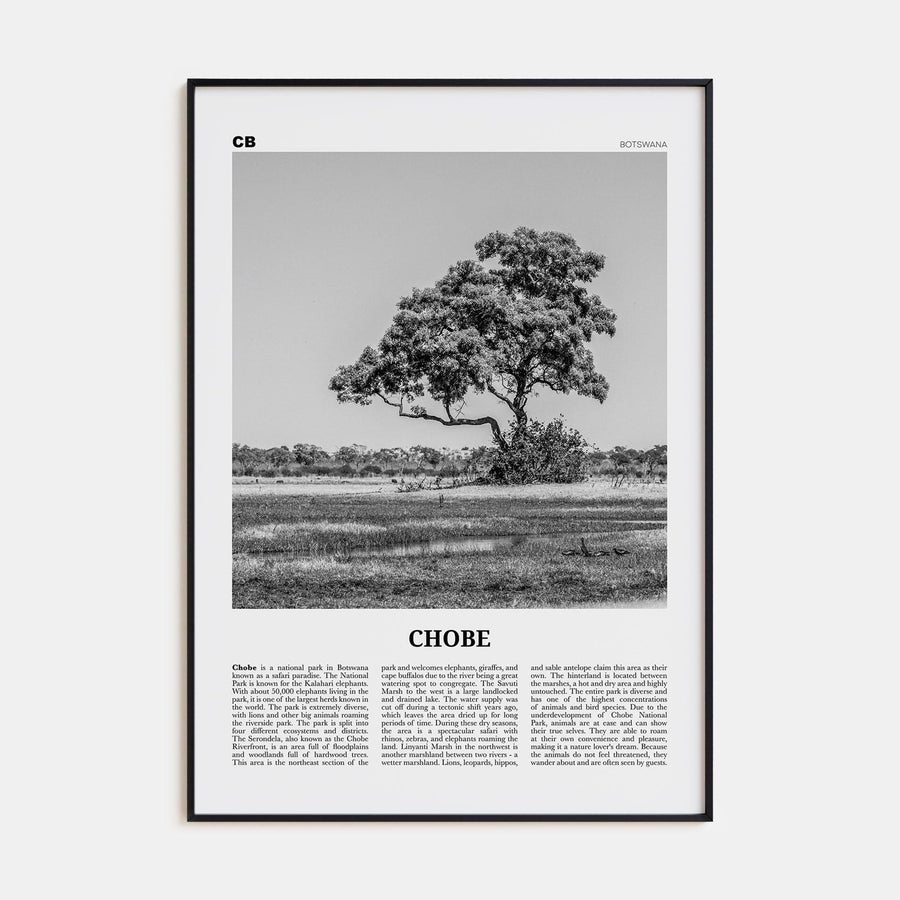 Chobe National Park Poster None / 8x12 in Nbourhood Travel B&W Poster