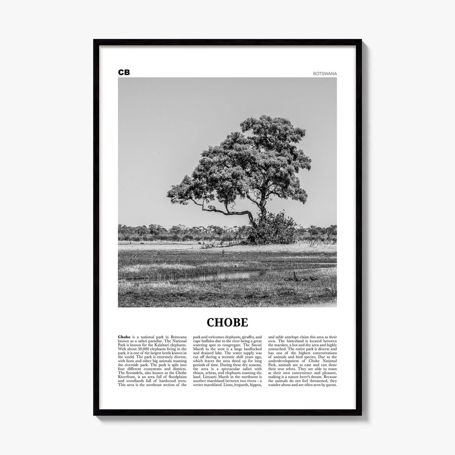 Chobe National Park Newspaper Poster, framed poster mockup