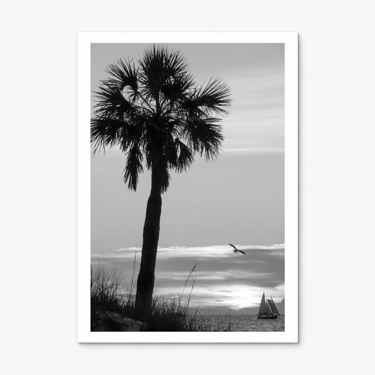Clearwater Photo No 3 Poster, print only (unframed), white border