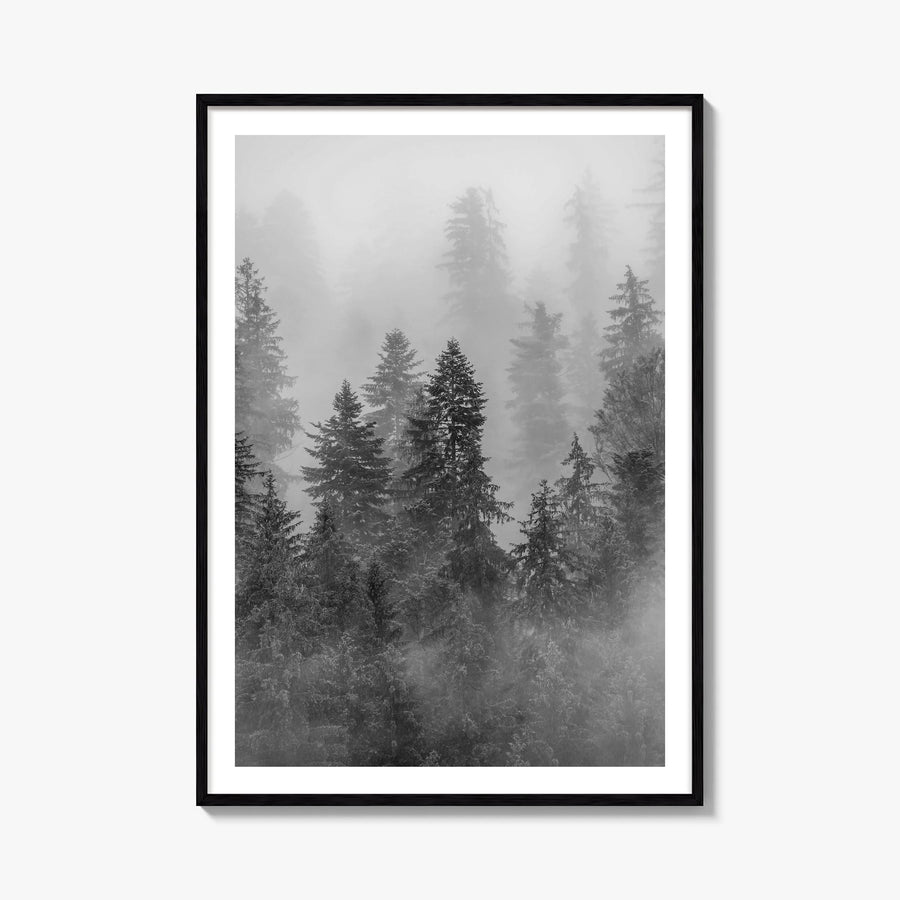 Cloudy Forest no. 1 black & white photo poster – vertical wall art, unframed print shown in interior mockup