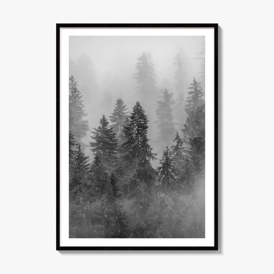 Cloudy Forest Photo No 1 Poster, framed poster mockup, white border