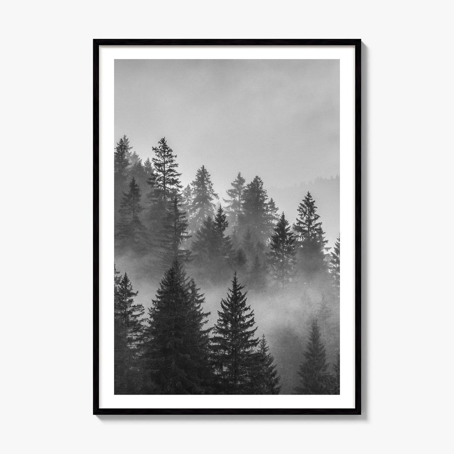 Cloudy Forest Photo No 2 Poster, framed poster mockup, white border