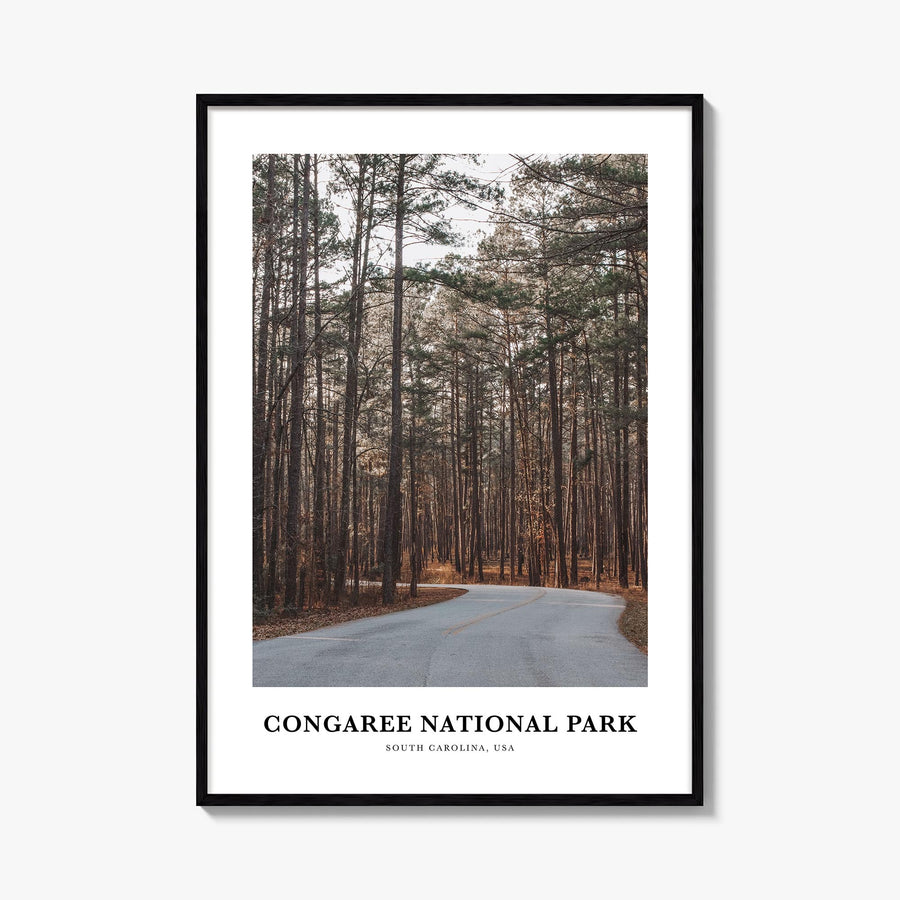 Congaree National Park colorful classic poster of South Carolina, USA – vertical wall art, unframed print shown in interior m