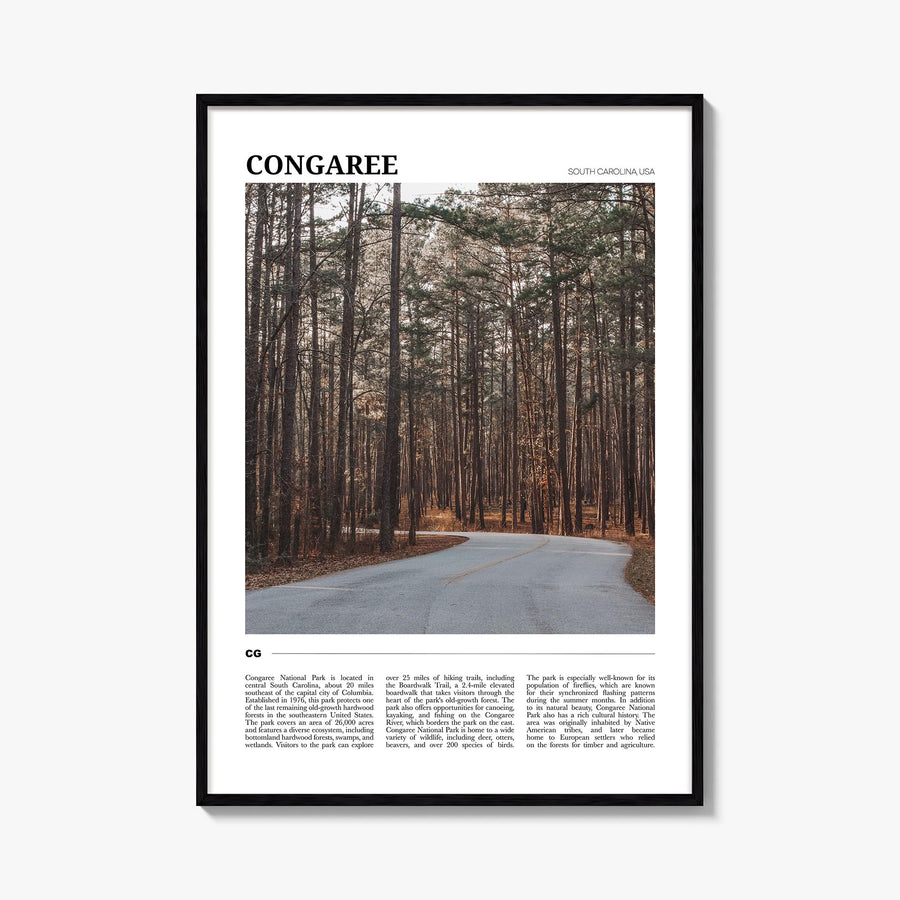 Congaree National Park colorful travel poster of South Carolina, USA – vertical wall art, unframed print shown in interior mo