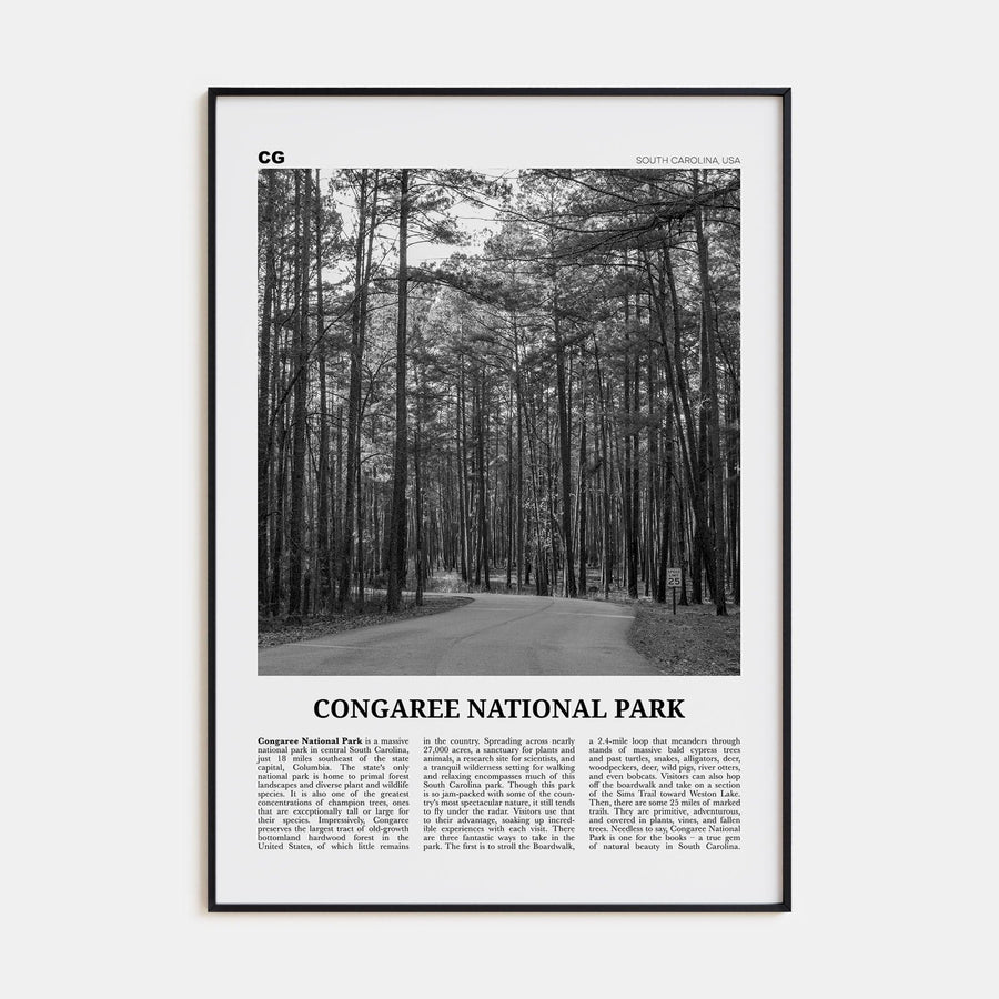 Congaree National Park Poster None / 8x12 in Nbourhood Travel B&W Poster