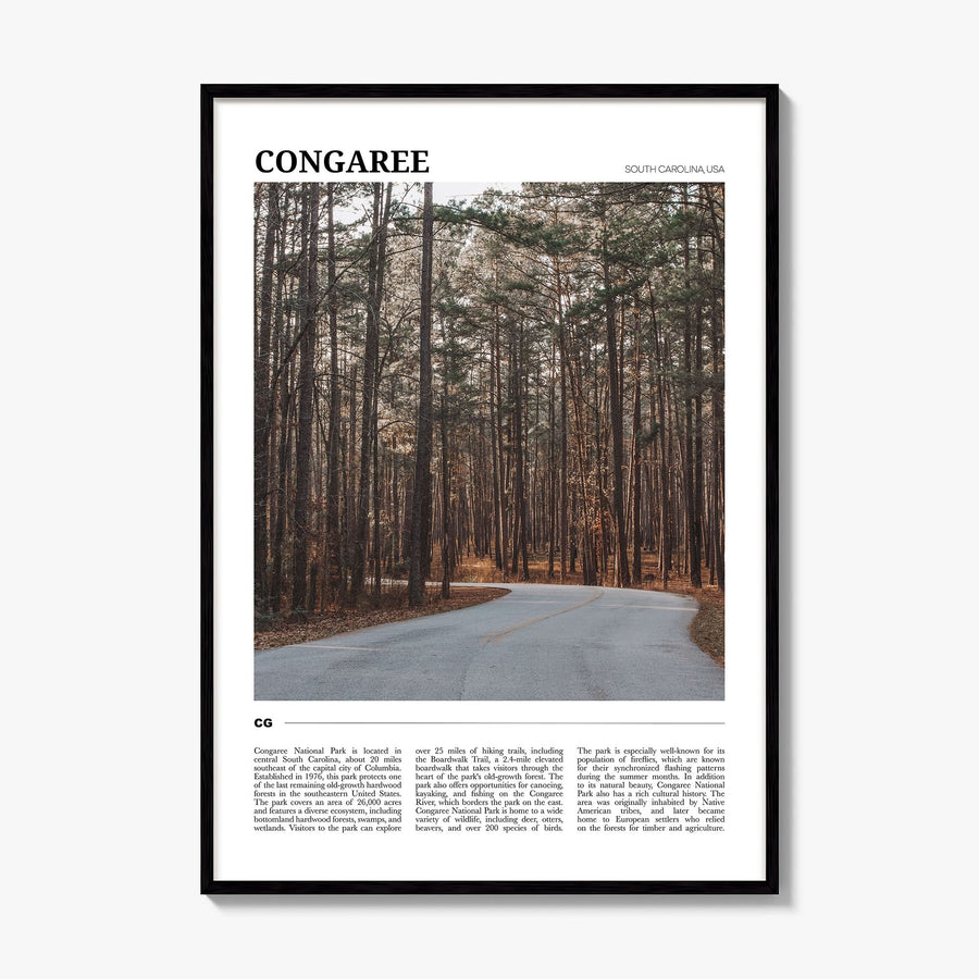 Congaree Travel Poster, framed poster mockup
