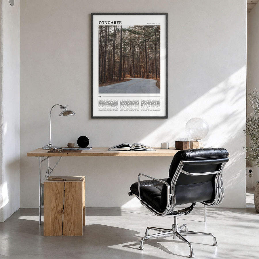 Congaree Travel Poster in a black wood frame, hanging in a bright home office