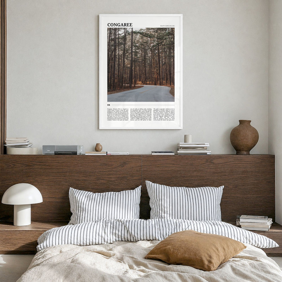Congaree Travel Poster in a white wood frame, hanging in a bedroom