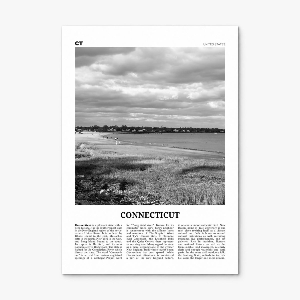 Connecticut Newspaper No 1 Poster, print only (unframed)