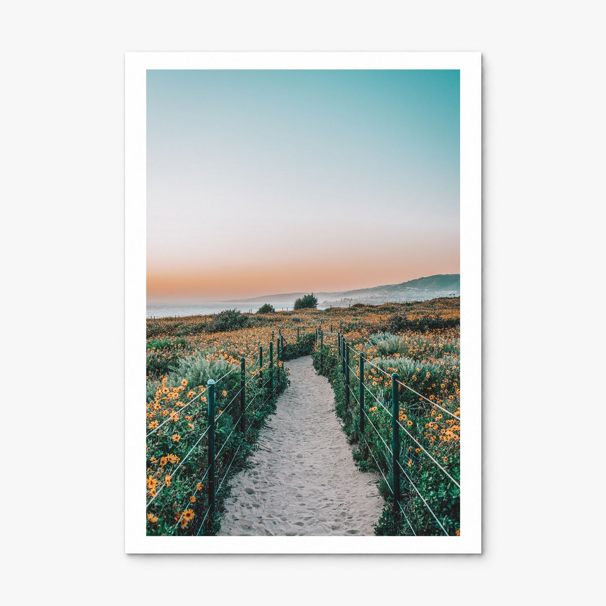 Dana Point Photo No 2 Poster, print only (unframed), white border