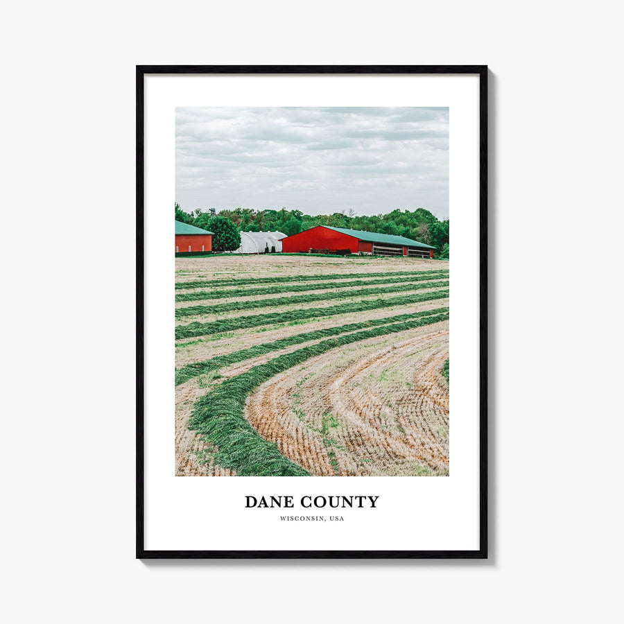 Dane County colorful classic poster of Wisconsin, USA – vertical wall art, unframed print shown in interior mockup