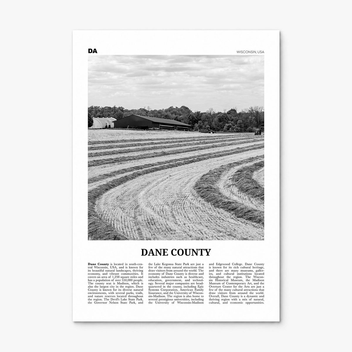 Dane County Newspaper Poster, print only (unframed)