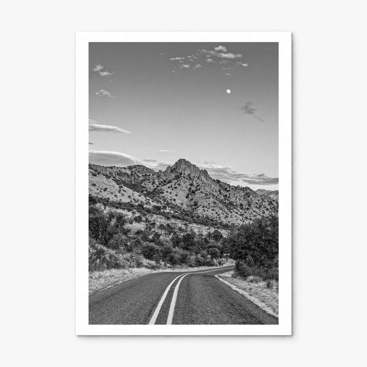 Davis Photo Poster, print only (unframed), white border