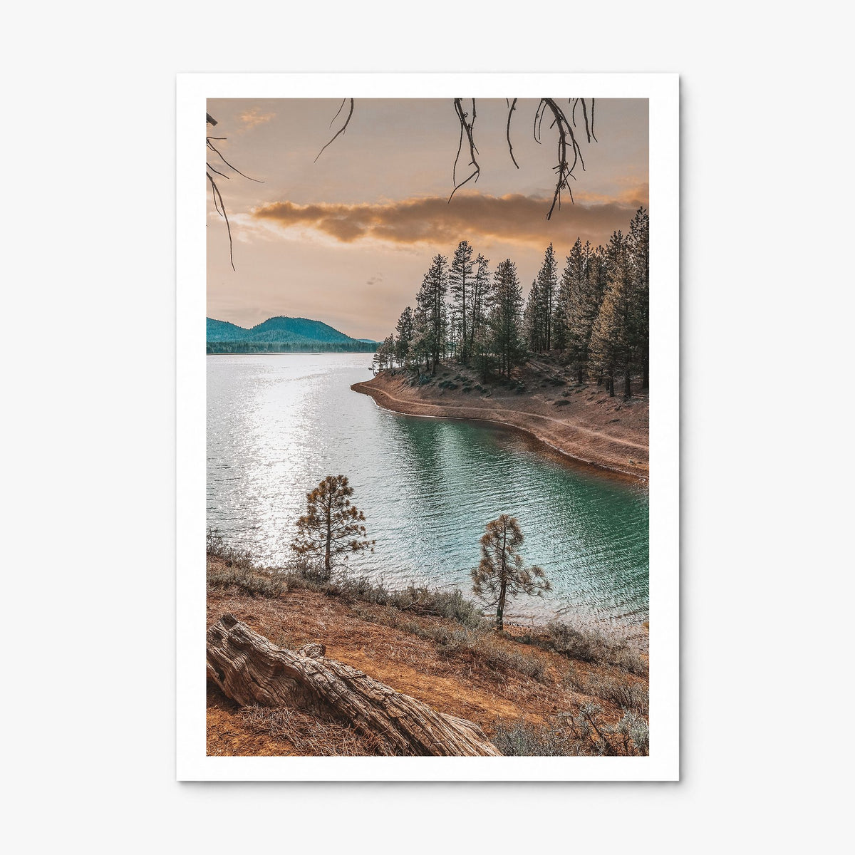 Davis Photo Poster, print only (unframed), white border