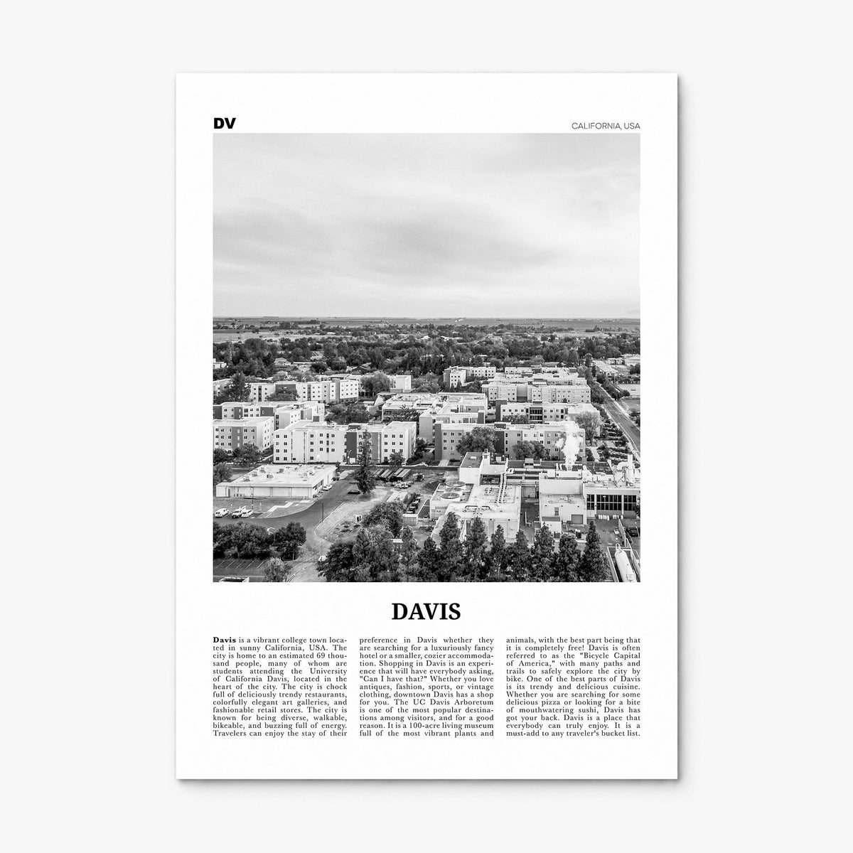 Davis Newspaper Poster, print only (unframed)