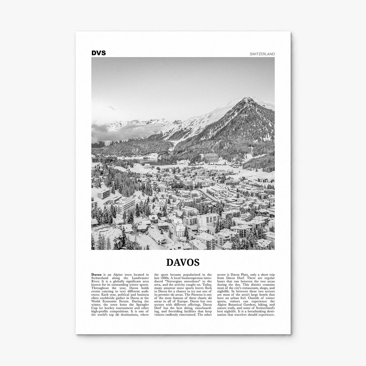 Davos Newspaper Poster, print only (unframed)