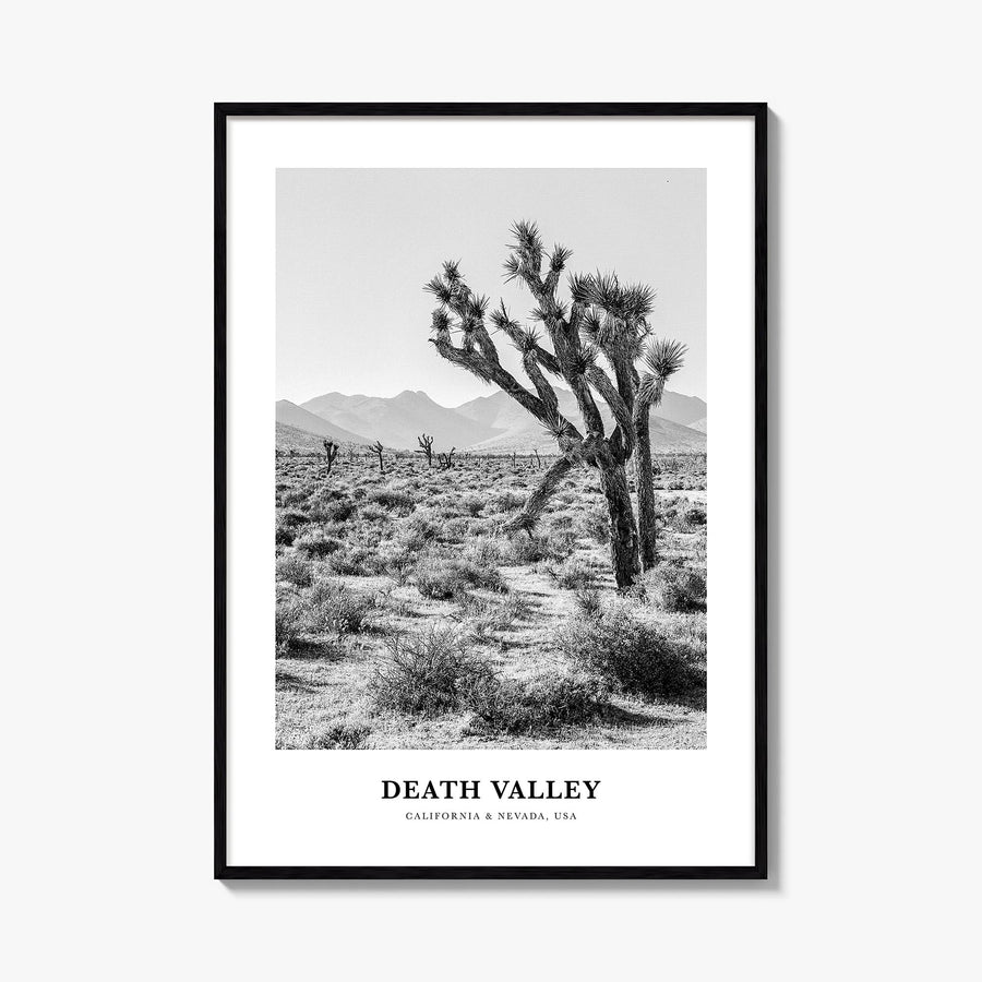 Death Valley no. 1 black & white classic poster of California, USA – vertical wall art, unframed print shown in interior mock
