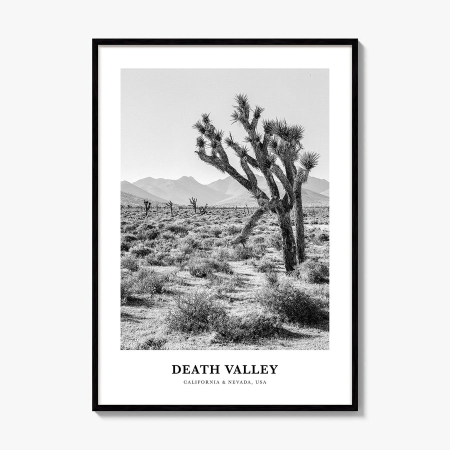 Death Valley Classic No 1 Poster, framed poster mockup