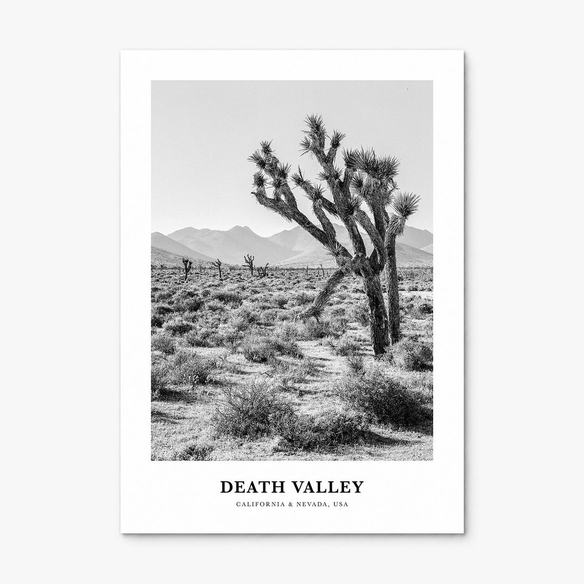 Death Valley Classic No 1 Poster, print only (unframed)