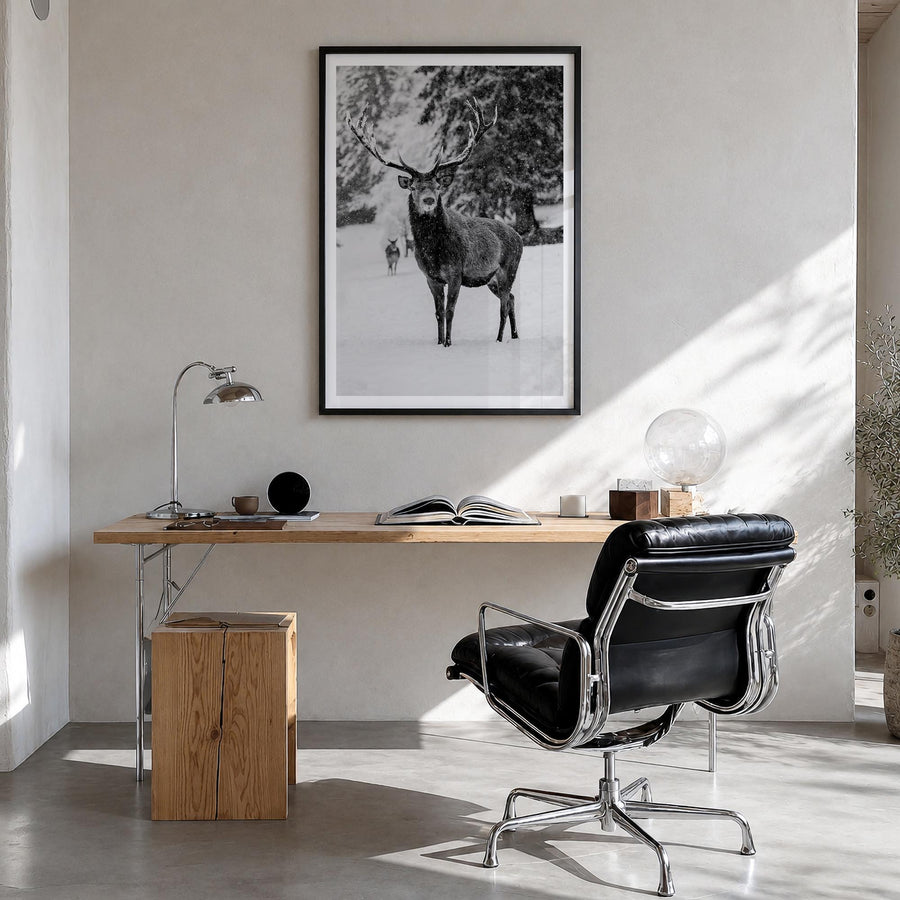Deer black & white photo poster – vertical wall art in black wood frame with white border, hanging on wall