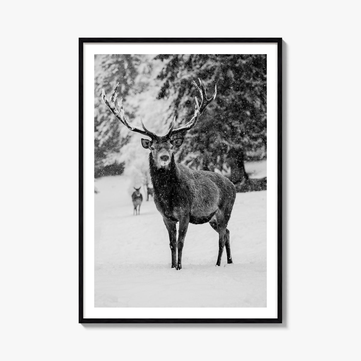 Deer black & white photo poster – vertical wall art, unframed print shown in interior mockup